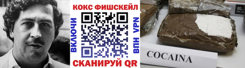 площадка формула Биробиджан COCAIN Fish Scale