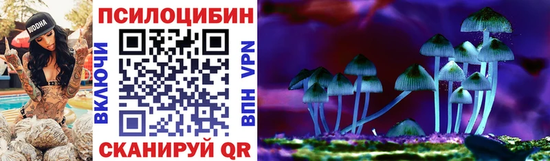 закладки  Биробиджан  Псилоцибиновые грибы мицелий 