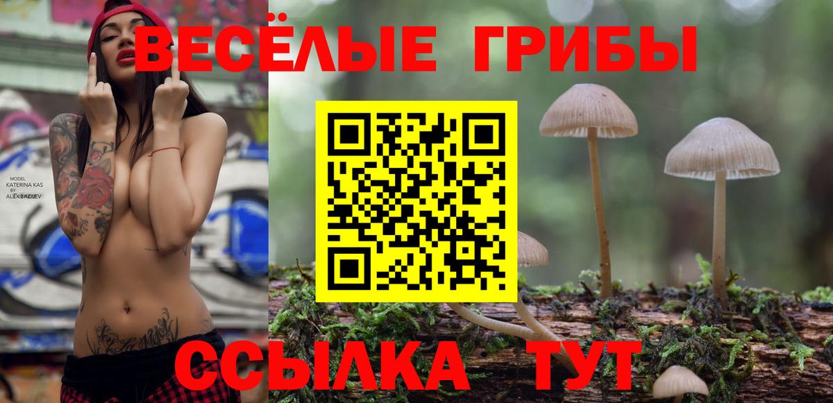 Биробиджан  Галлюциногенные грибы GOLDEN TEACHER  Вход с VPN 