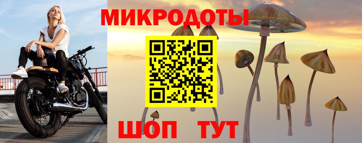 Псилоцибиновые грибы Cubensis Биробиджан